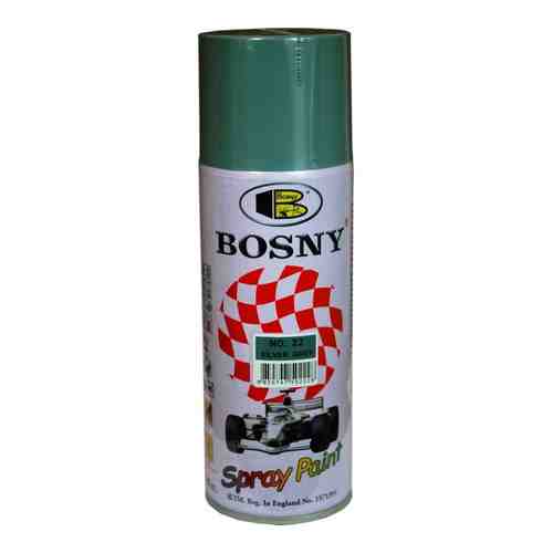 Аэрозольная краска Bosny 22 арт. 1242355