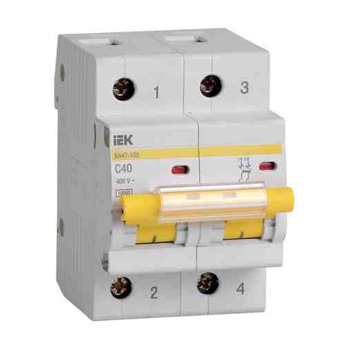 Автоматический выключатель IEK ВА 47-100 арт. 1422423