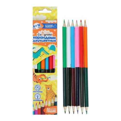 Двухцветные карандаши Calligrata 5498146 арт. 1808843