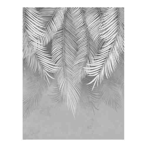 Фотообои Dekor Vinil Пальмовые листья на сером фоне арт. 2058122