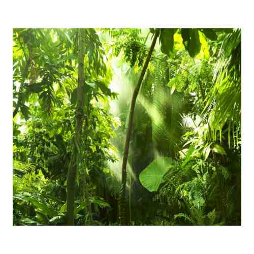 Фотообои Dekor Vinil Тропическая зелень арт. 2058280