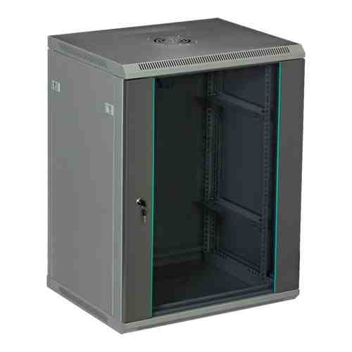 Настенный серверный шкаф W&T C156050GWTWOF арт. 2013964