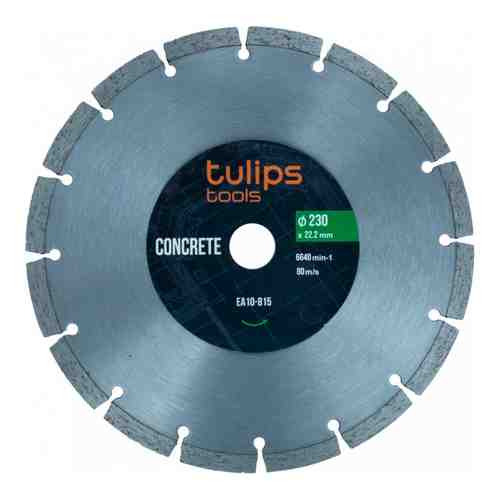 Сегментный алмазный диск Tulips Tools EA10-815 арт. 972997