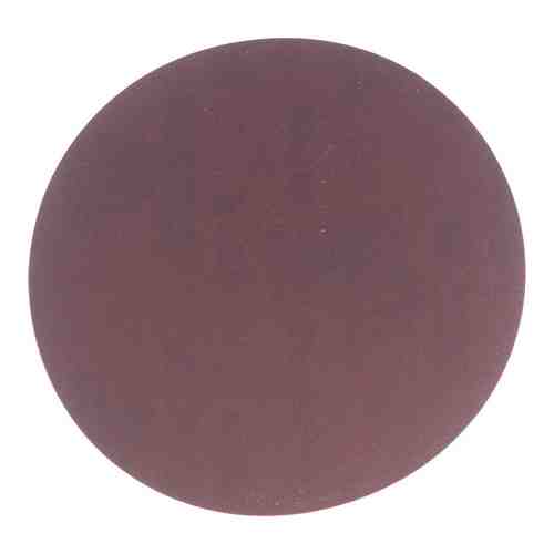 Шлифовальный диск для BP-100 PROMA 60605118 арт. 38335