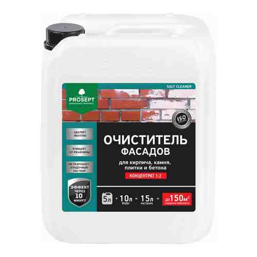 Смывка высолов PROSEPT SALT CLEANER арт. 505218