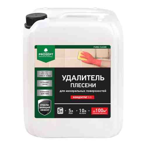 Удалитель плесени с минеральных поверхностей PROSEPT FUNGI CLEAN арт. 505111